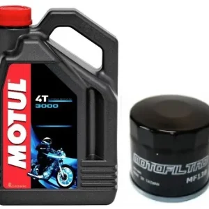 Zamów teraz MOTUL 3000 4T 20W50 4L FILTR GRATIS