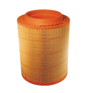 Premium FILTRON FILTR POWIETRZA AM 455/2