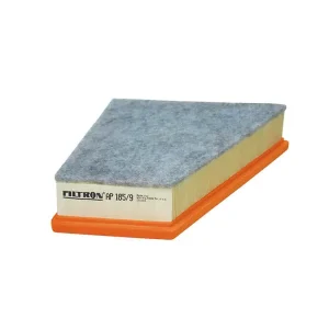 FILTRON FILTR POWIETRZA AP 185/9 Ekspresowa dostawa