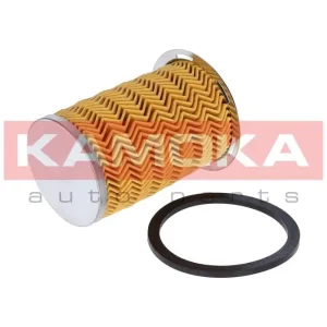 Darmowa dostawa KAMOKA FILTR PALIWA F307201