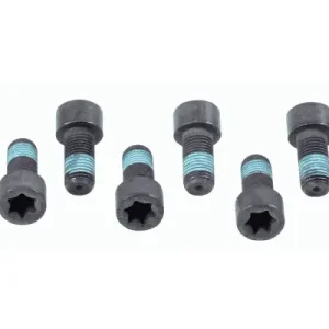 SACHS Zestaw Śrub Koła Zamachowego 1874 000 032 Opel Popularny