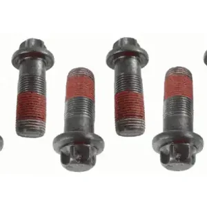 SACHS Zestaw Śrub Koła Zamachowego 1874 000 039 Ford Tani