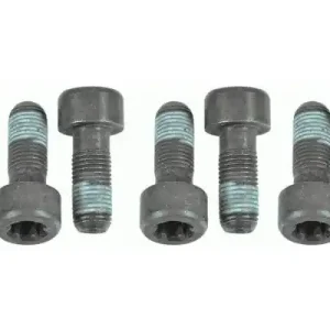 SACHS Zestaw Śrub Koła Zamachowego 1874000054 RENAULT Darmowa dostawa