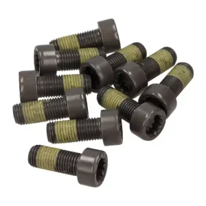 SACHS ZESTAW ŚRUB KOŁA ZAMACHOWEGO VOLVO S60/S80/V60/V70/XC60/XC70 2,4 08- Ostatnia szansa