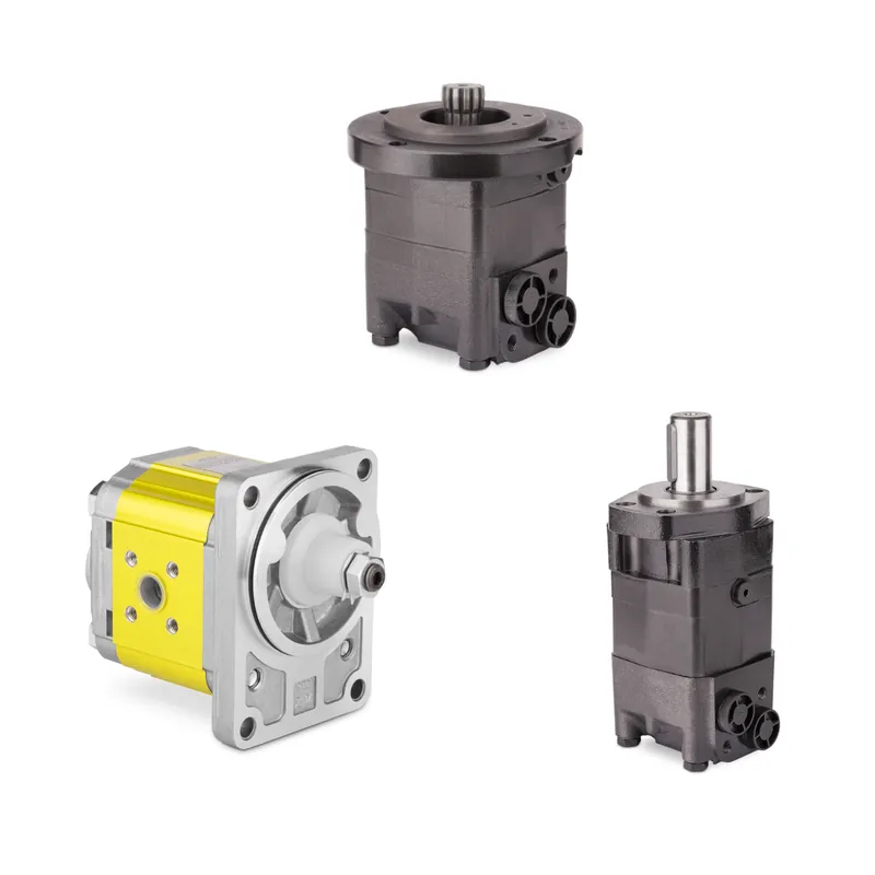 Silnik hydrauliczny BMM20P1AIIY1 Szybka dostawa