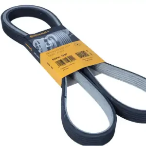 CONTITECH PASEK WIELOROWKOWY 6DPK1697 Popularny