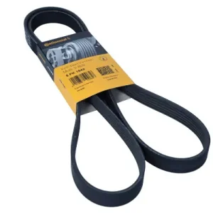 CONTITECH Pasek wielorowkowy 6PK1642 6PK1642 Szybka dostawa