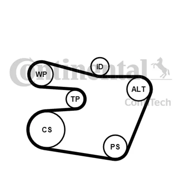 Rabat CONTITECH Zestaw paska wielorowkowego 6PK1538K1 BMW E46 2.0-3.0