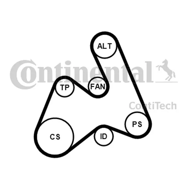 Tani CONTITECH Zestaw paska wielorowkowego VW PASSAT, AUDI A4/A6 1,9TDI 5PK1592K1